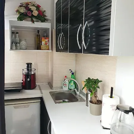 Apartament Biju *