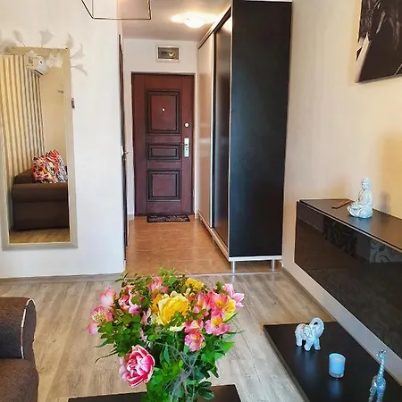 Apartament Apartament Biju *